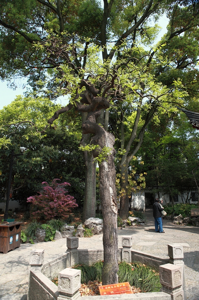 EOS 5D Mark II19_04_20135711.JPG